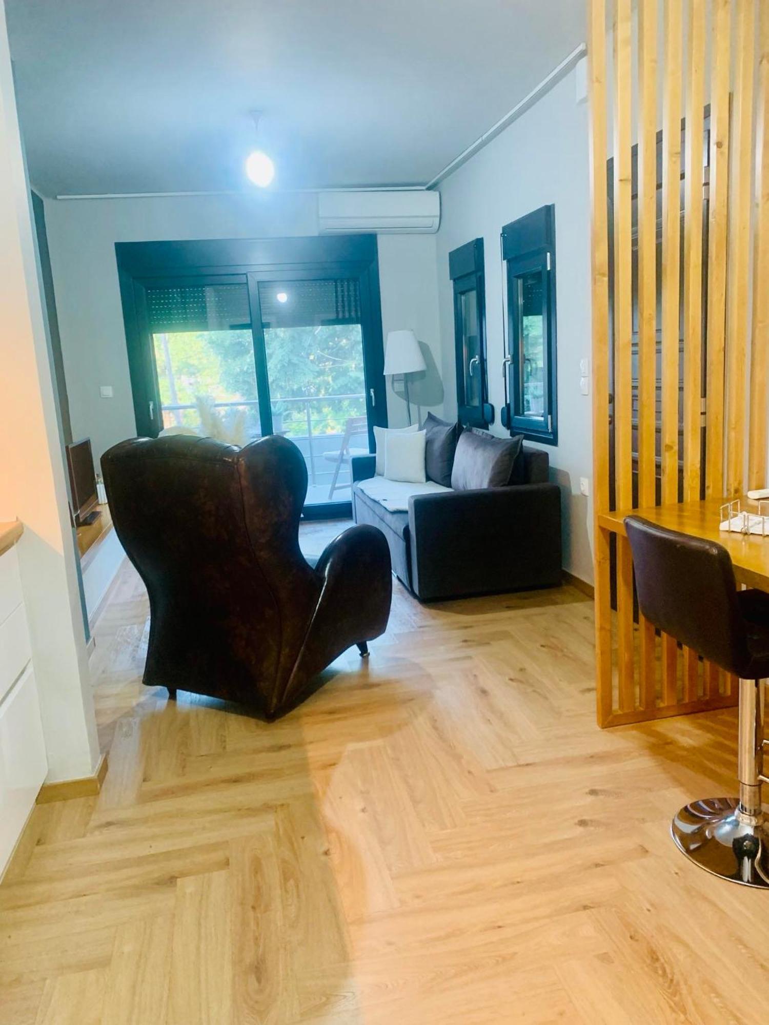 βασιλική Apartment Elassona